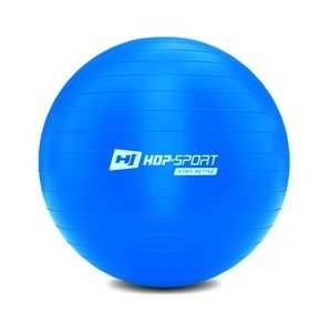 Gymnastická lopta s pumpou 55cm - modrá